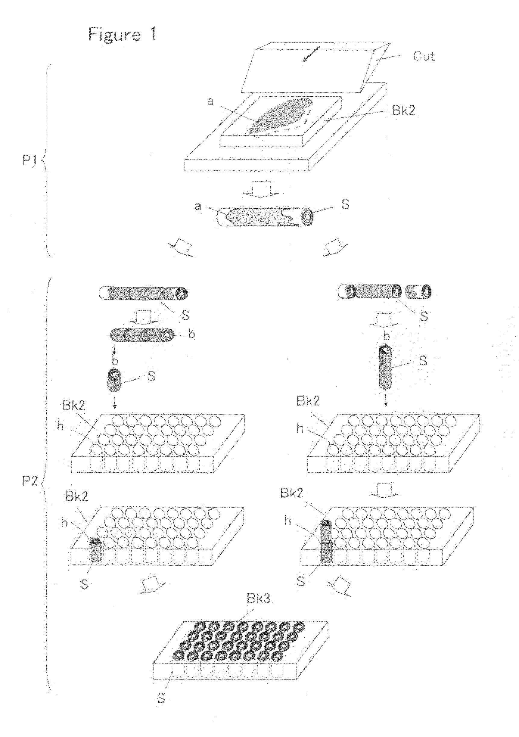 Tissue piece forming device and tissue piece forming method