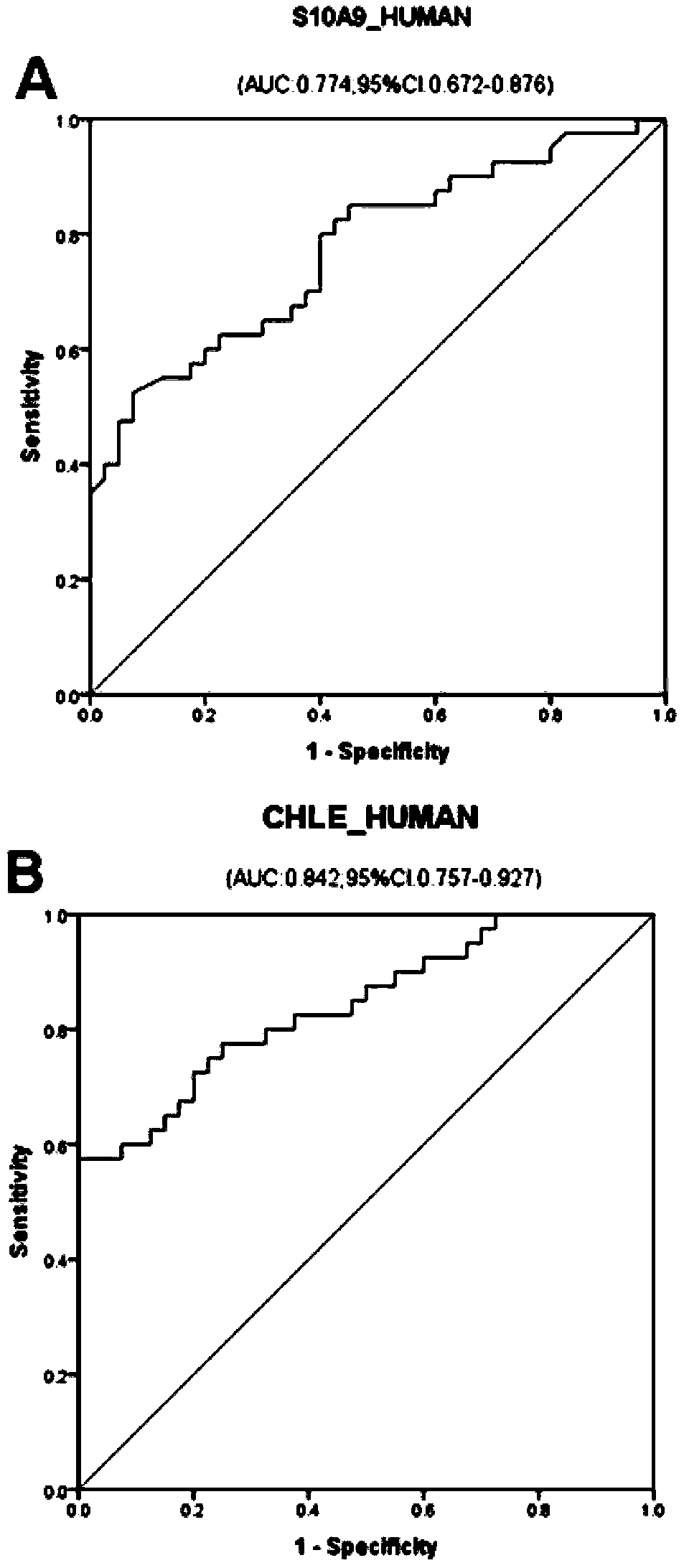 Serum/plasma protein molecular marker related to auxiliary diagnosis of intrahepatic cholestasis in gestation period and application thereof