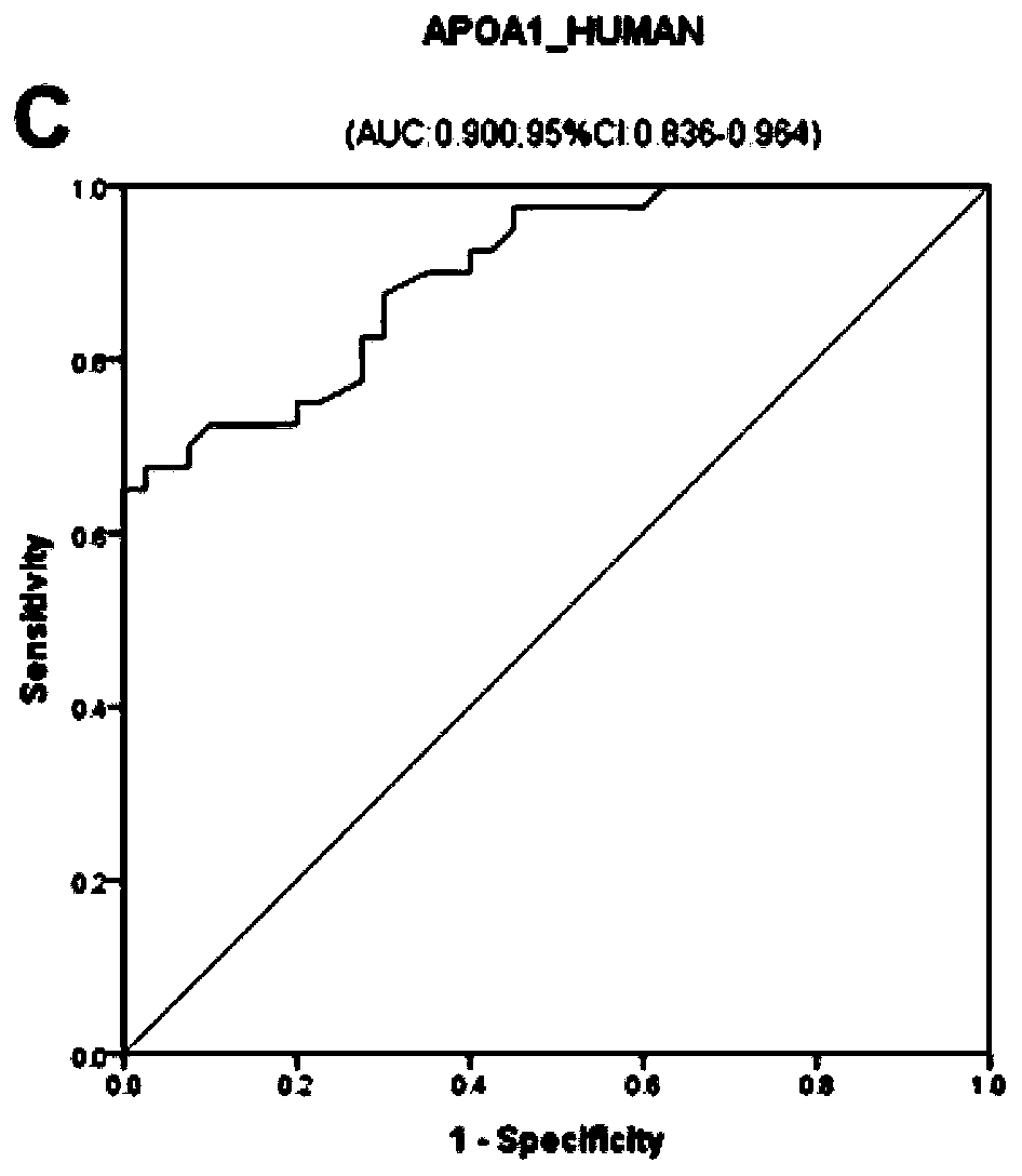 Serum/plasma protein molecular marker related to auxiliary diagnosis of intrahepatic cholestasis in gestation period and application thereof