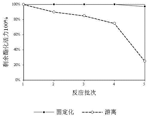 Method for preparing 1,3-diglyceride from surface active magnetic nanoparticle immobilized lipase