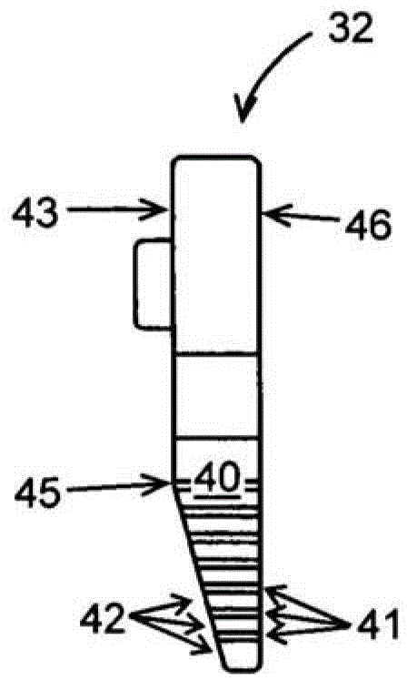 Drive belts for transmissions with convex pulley pulleys