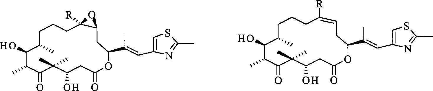 Epothilone freeze-drying composition