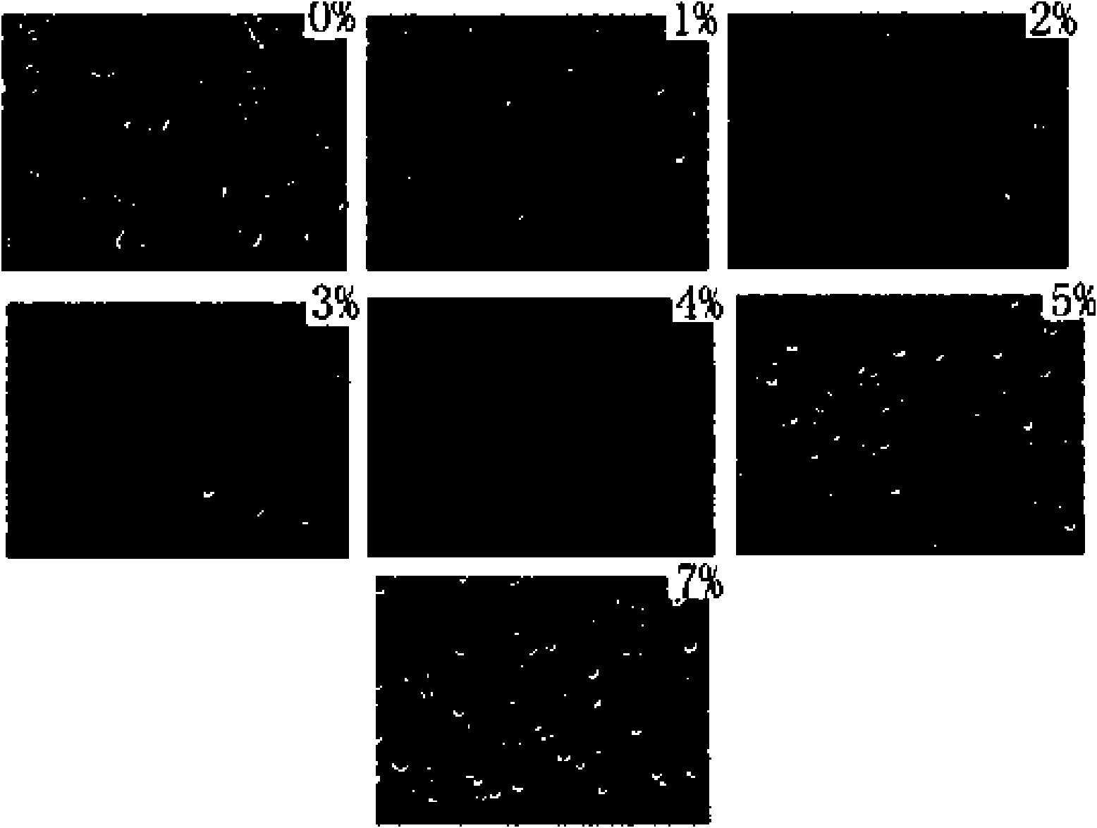 Nanometer inorganic material/polyolefine foaming material and preparation method thereof