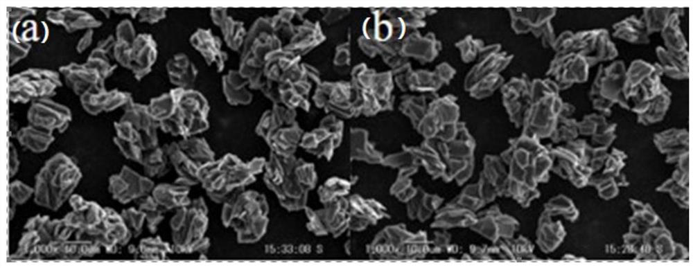 Negative electrode material and preparation method and application thereof