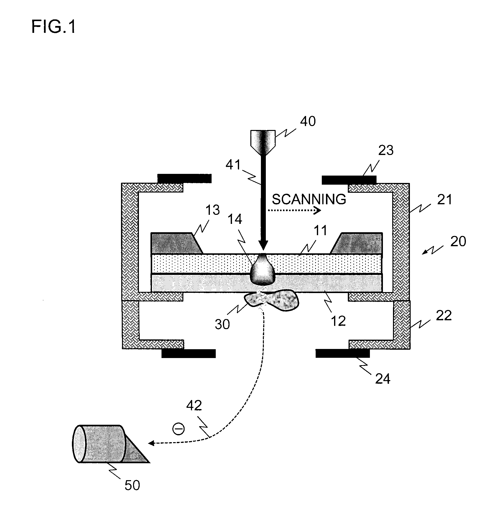 Sample supporting member for observing scanning electron microscopic image and method for observing scanning electron microscopic image