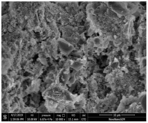 Cement-based porous filter material prepared from waste circuit board non-metal powder and preparation method thereof