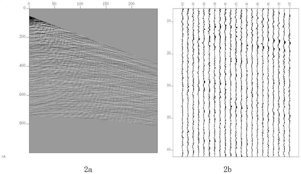 Man-machine interaction type deep sea water body three-dimensional velocity analysis method integrated with reflection amplitude compensation