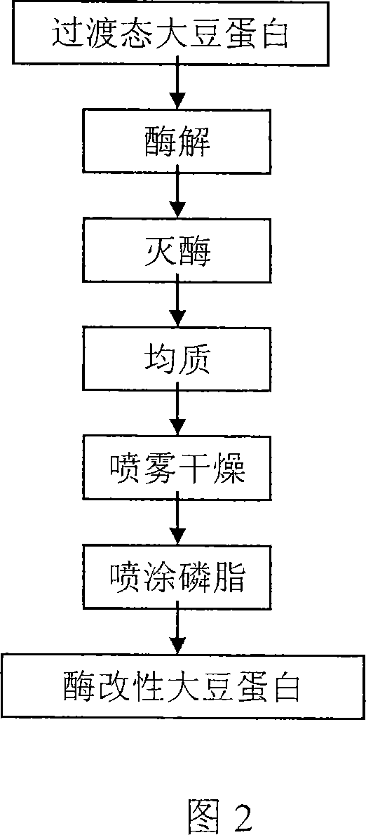 Enzyme modification method for preparing low gel property high dispersancy soy protein