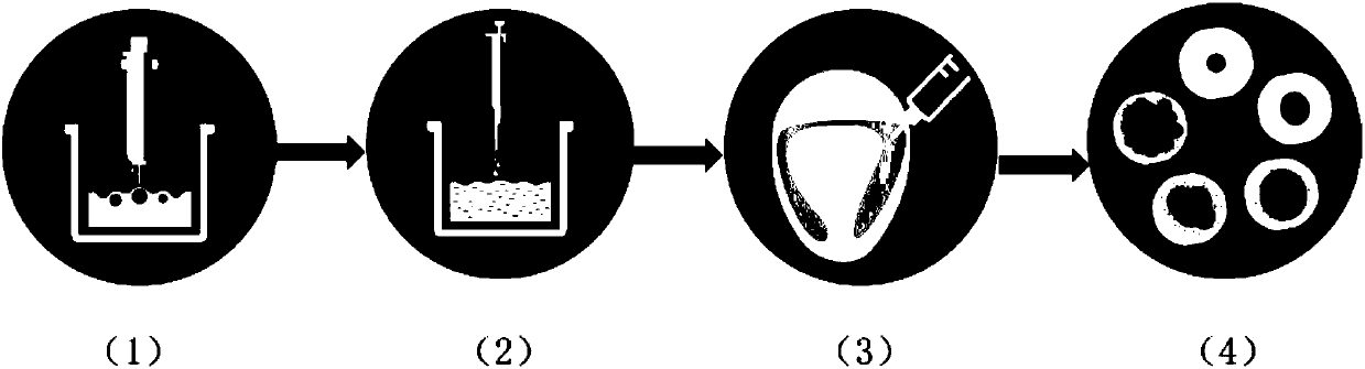 Method used for inactivating virus based on atmospheric pressure low temperature plasma activated solution