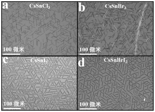 Preparation method of all-inorganic lead-free metal halide perovskite nanowire and high-performance infrared detection application of nanowire