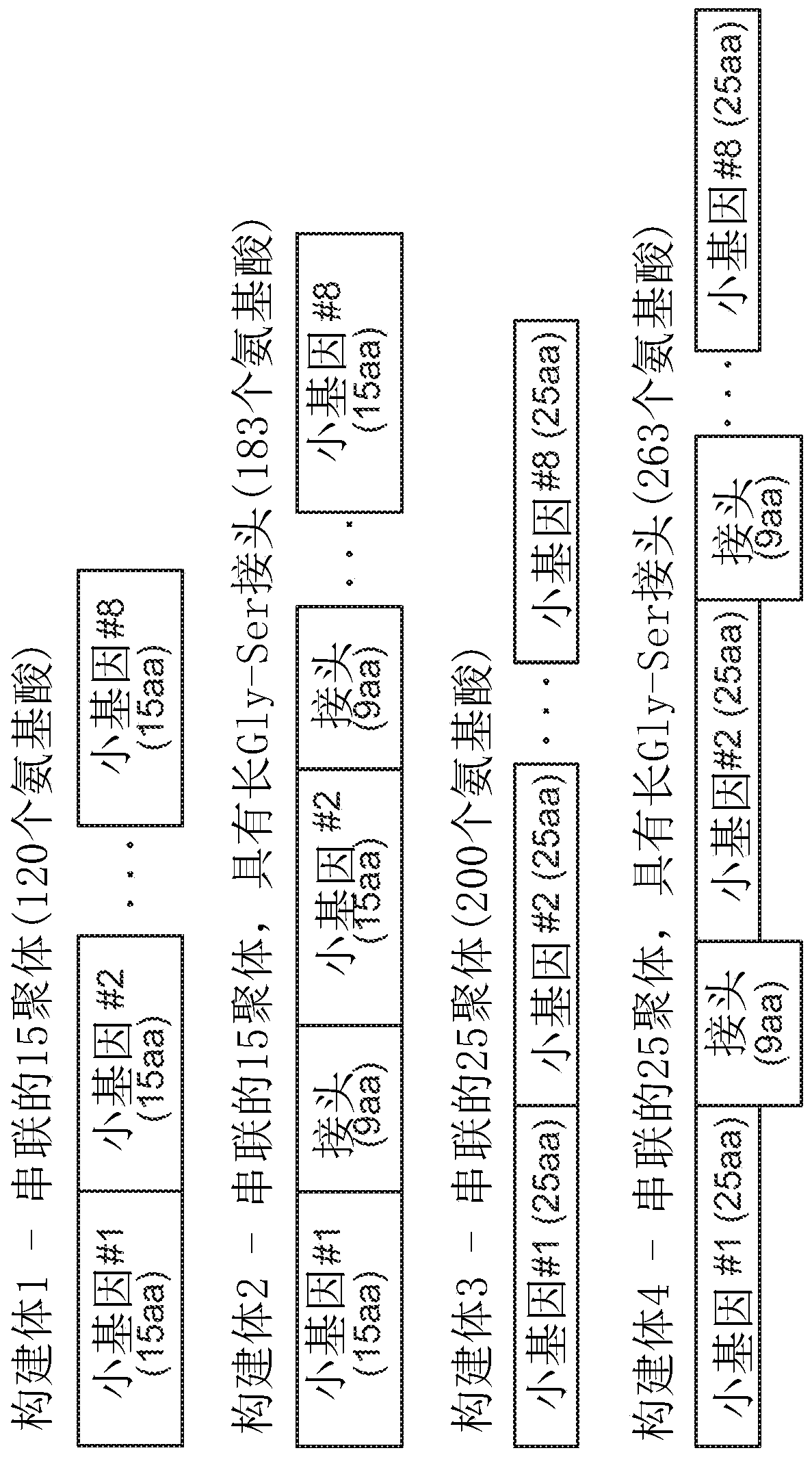 Neoepitope vaccine compositions and methods of use thereof