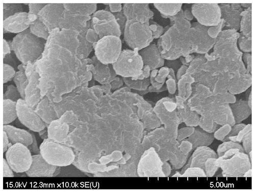 Method and strain for remediating arsenic polluted high-salinity alkaline water through Synechocystis sp. in situ