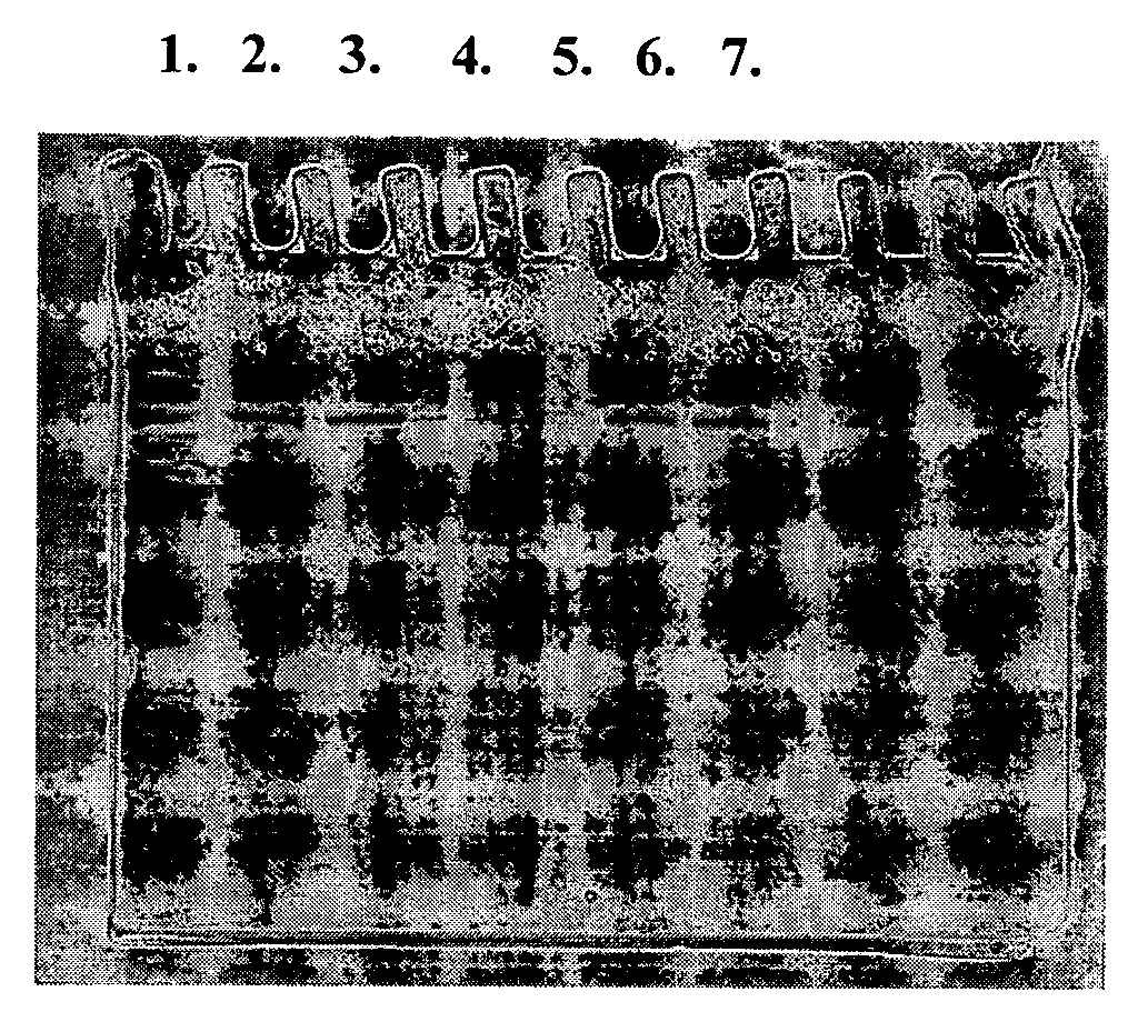 Novel laccase enzyme and use thereof