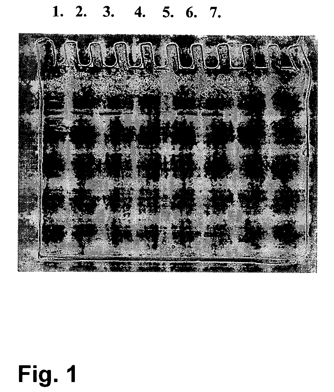 Novel laccase enzyme and use thereof