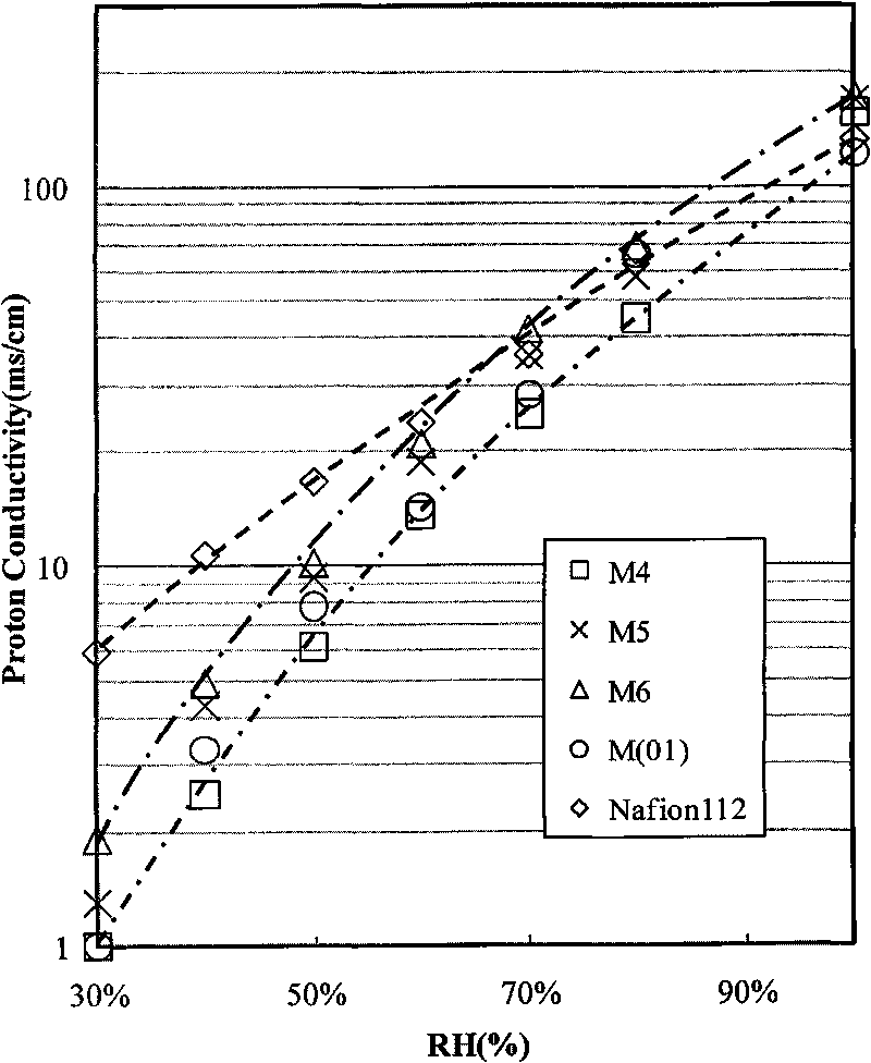 Process for preparing composite sulfonated membranes with IPN structures