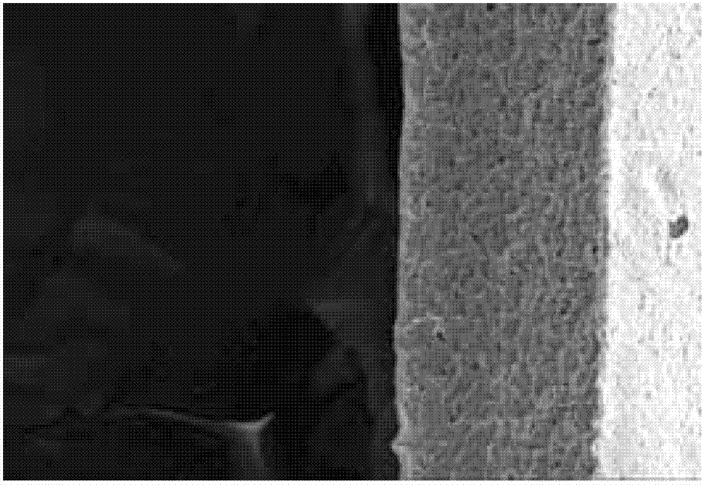 Preparation method of high-performance forward osmosis membrane