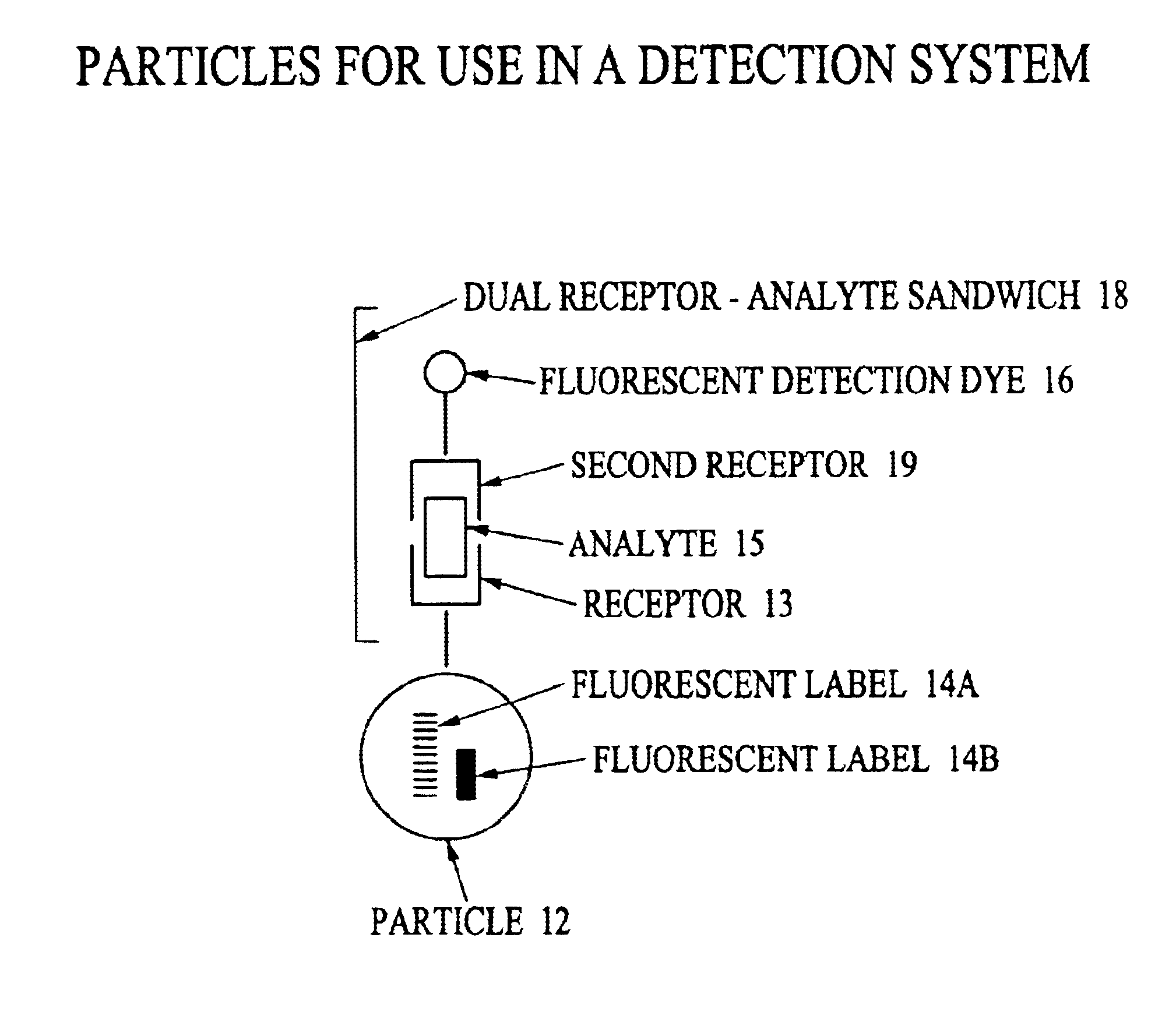 Analyte detection system