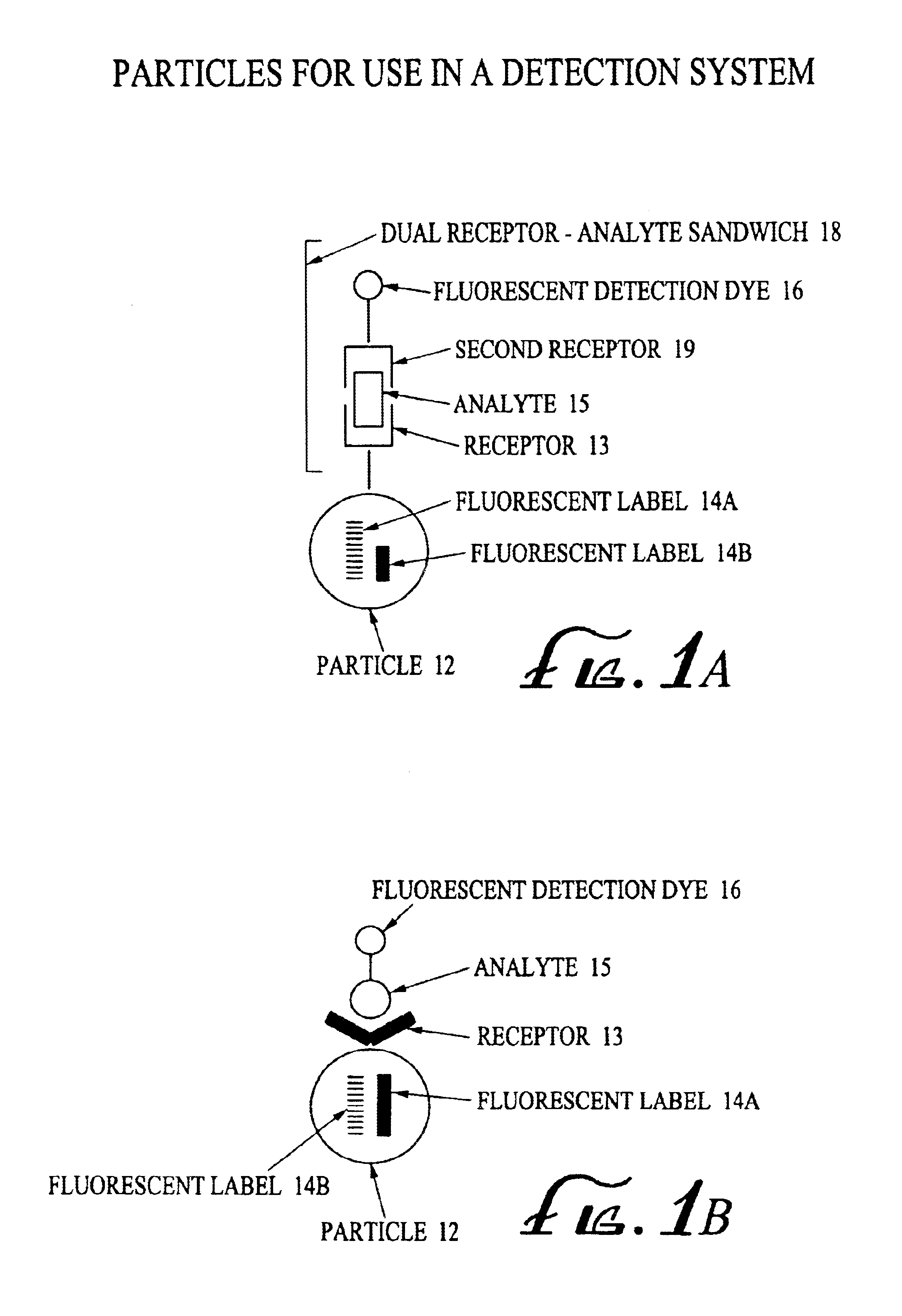 Analyte detection system