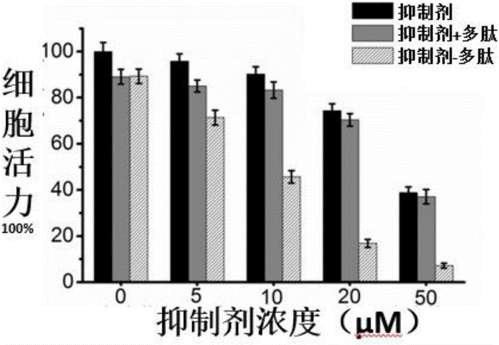 Polypeptide lipidosome capable of transforming shape in lysosome of tumor cell