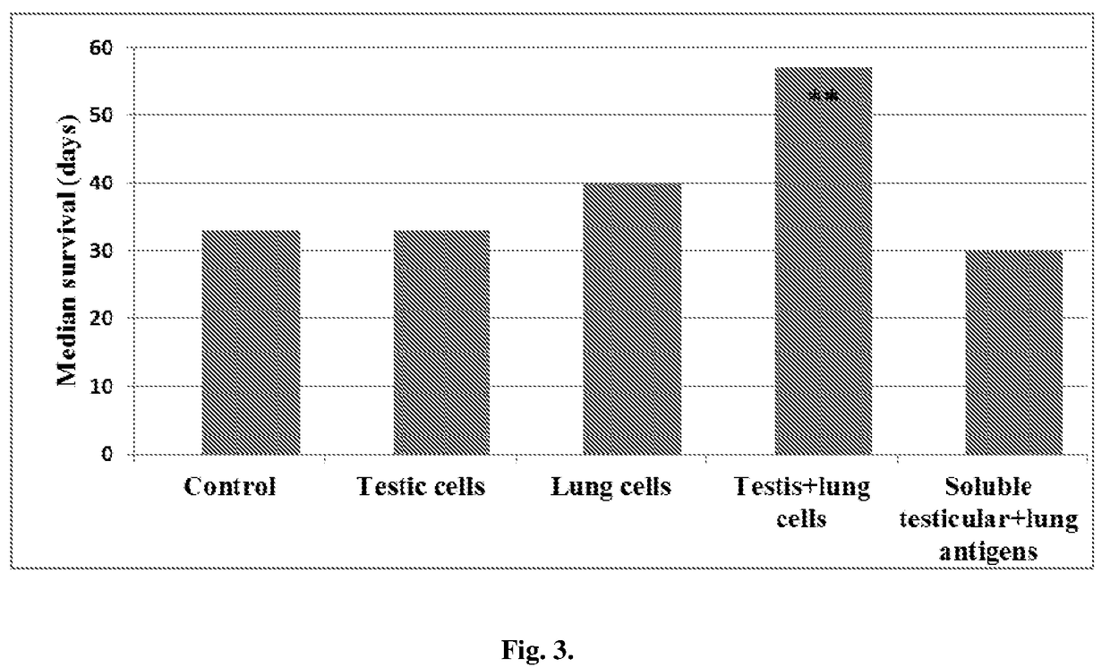 Xenogenic normal tissue-derived vaccines for breaking the immune tolerance to tumor-associated, antigens