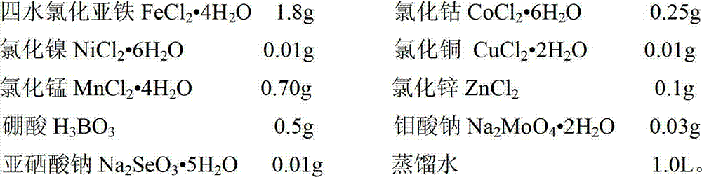 Method for preparing enzyme and bacterium composite agent for treating sewage and sludge