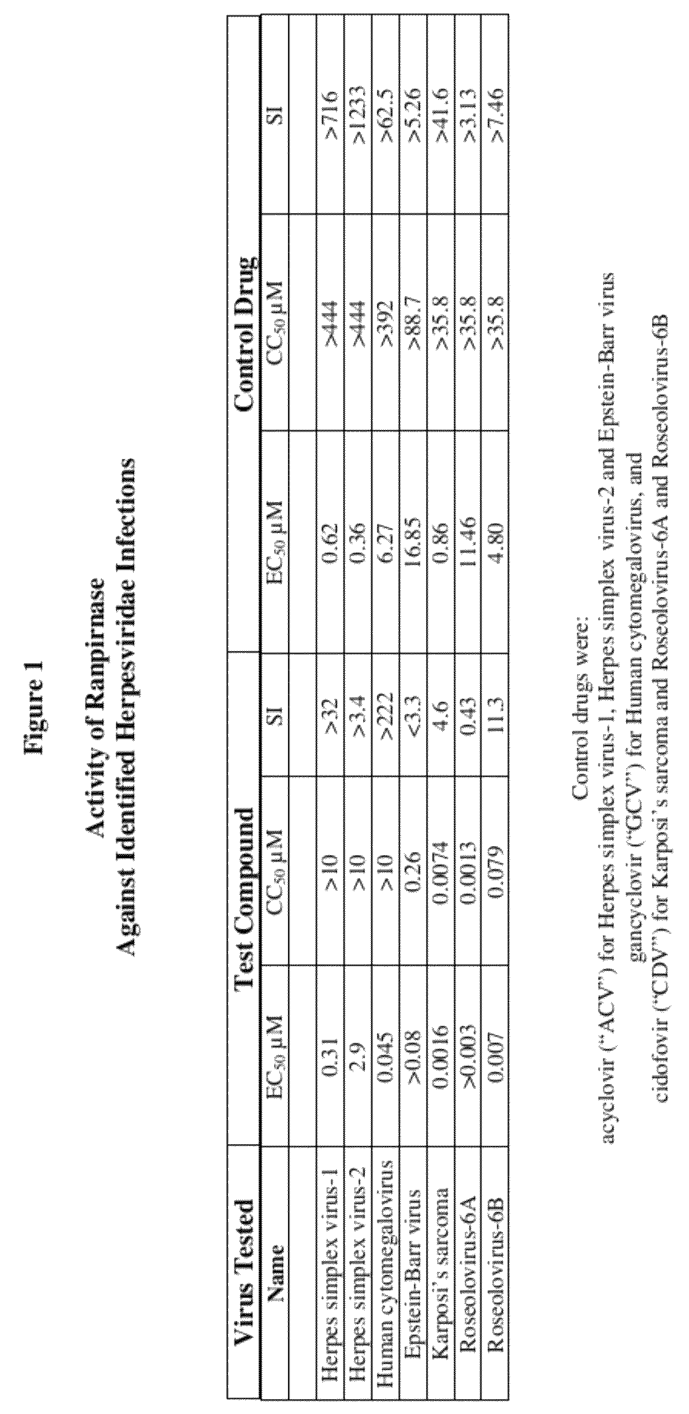 Methods of treating infections originating from viruses in the herpesviridae family