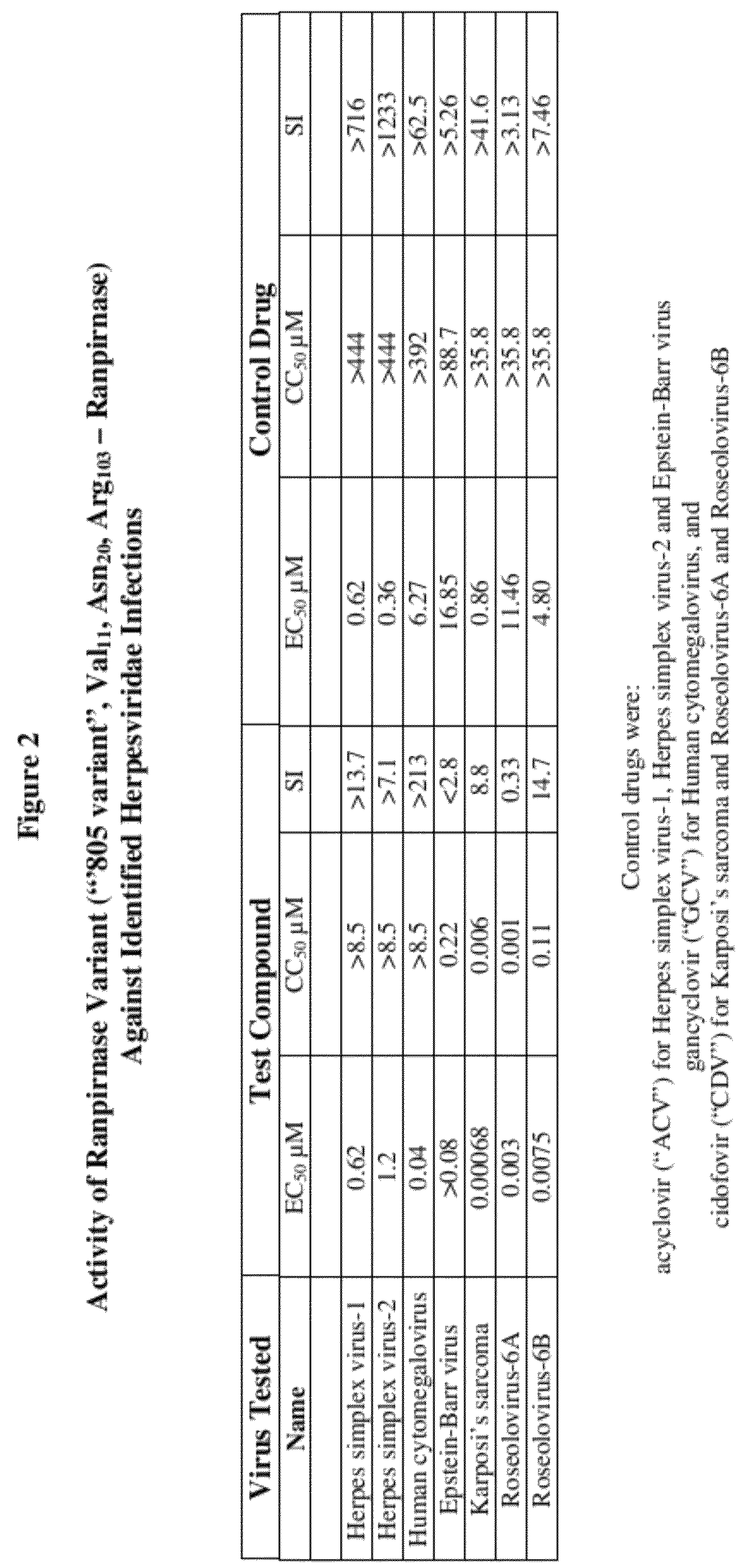 Methods of treating infections originating from viruses in the herpesviridae family