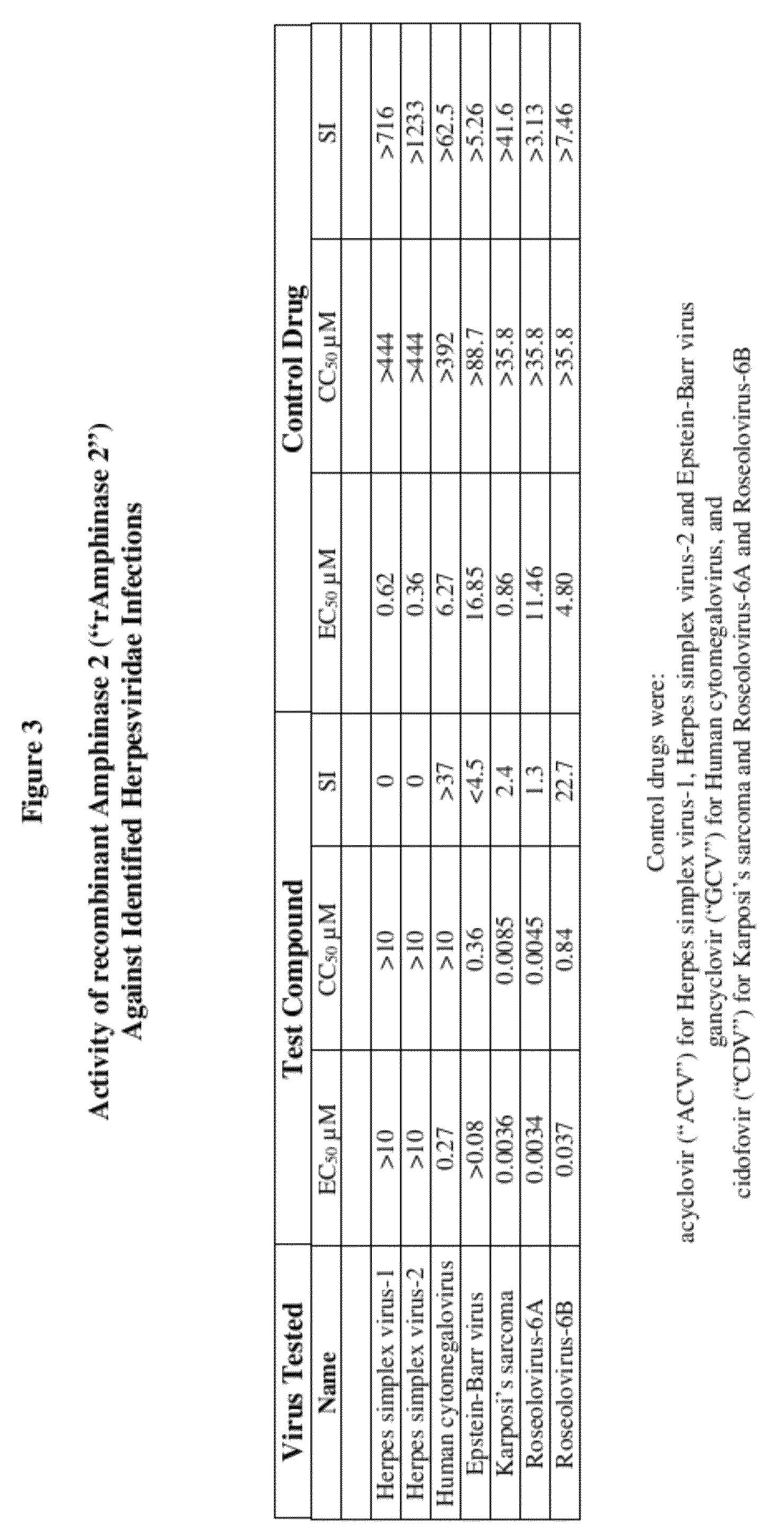 Methods of treating infections originating from viruses in the herpesviridae family