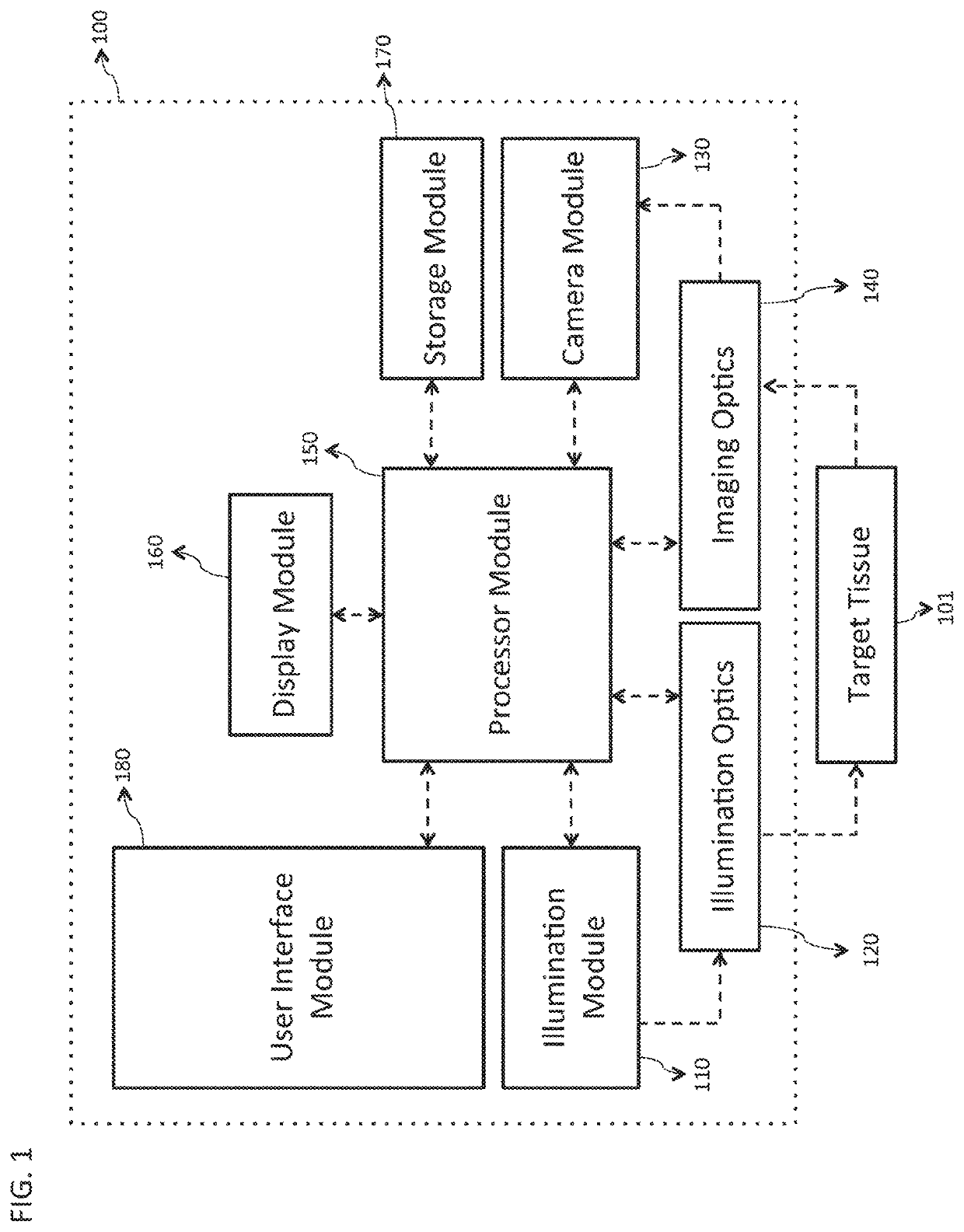 System and method for rapid examination of vasculature and particulate flow using laser speckle contrast imaging