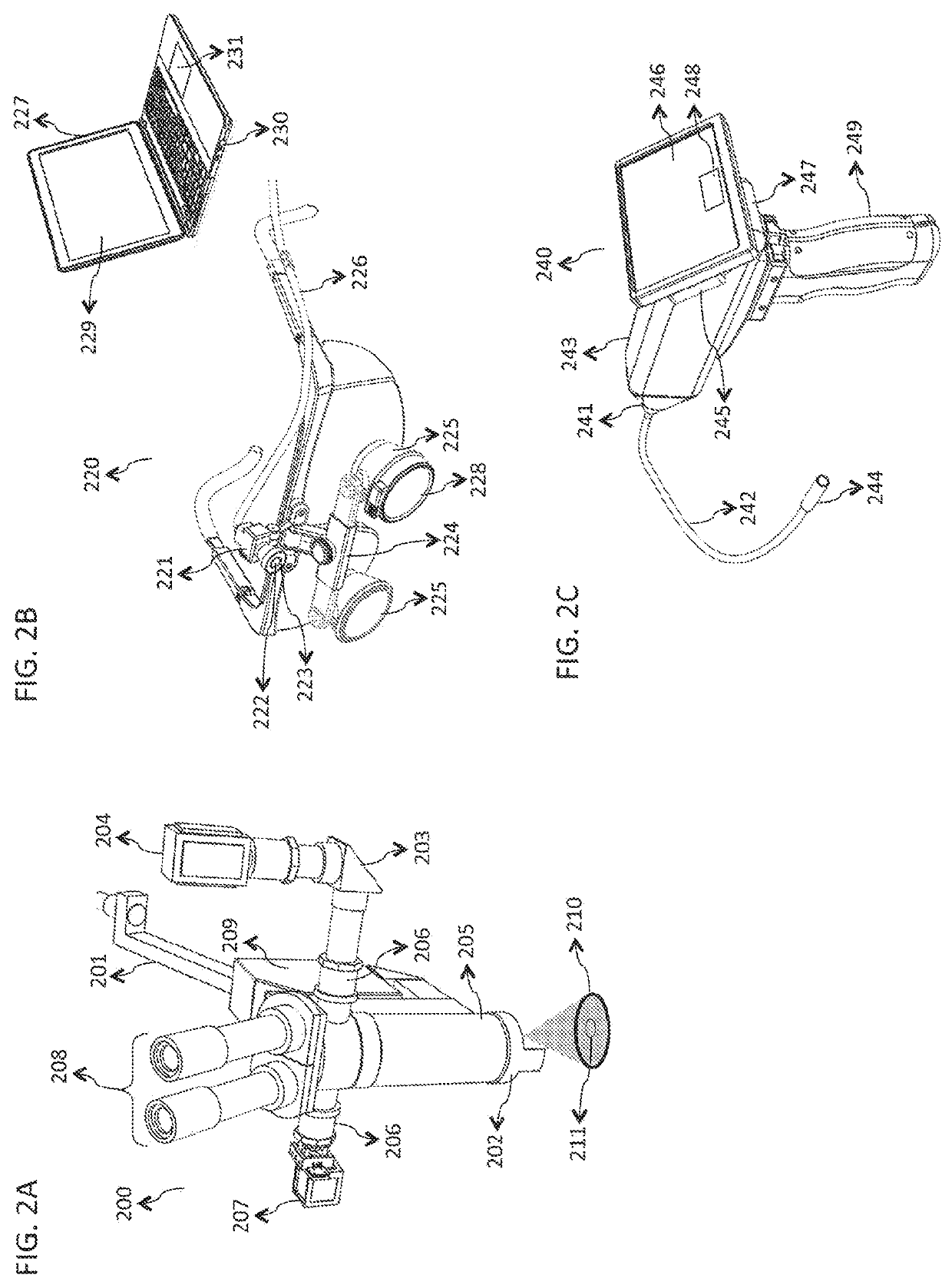 System and method for rapid examination of vasculature and particulate flow using laser speckle contrast imaging