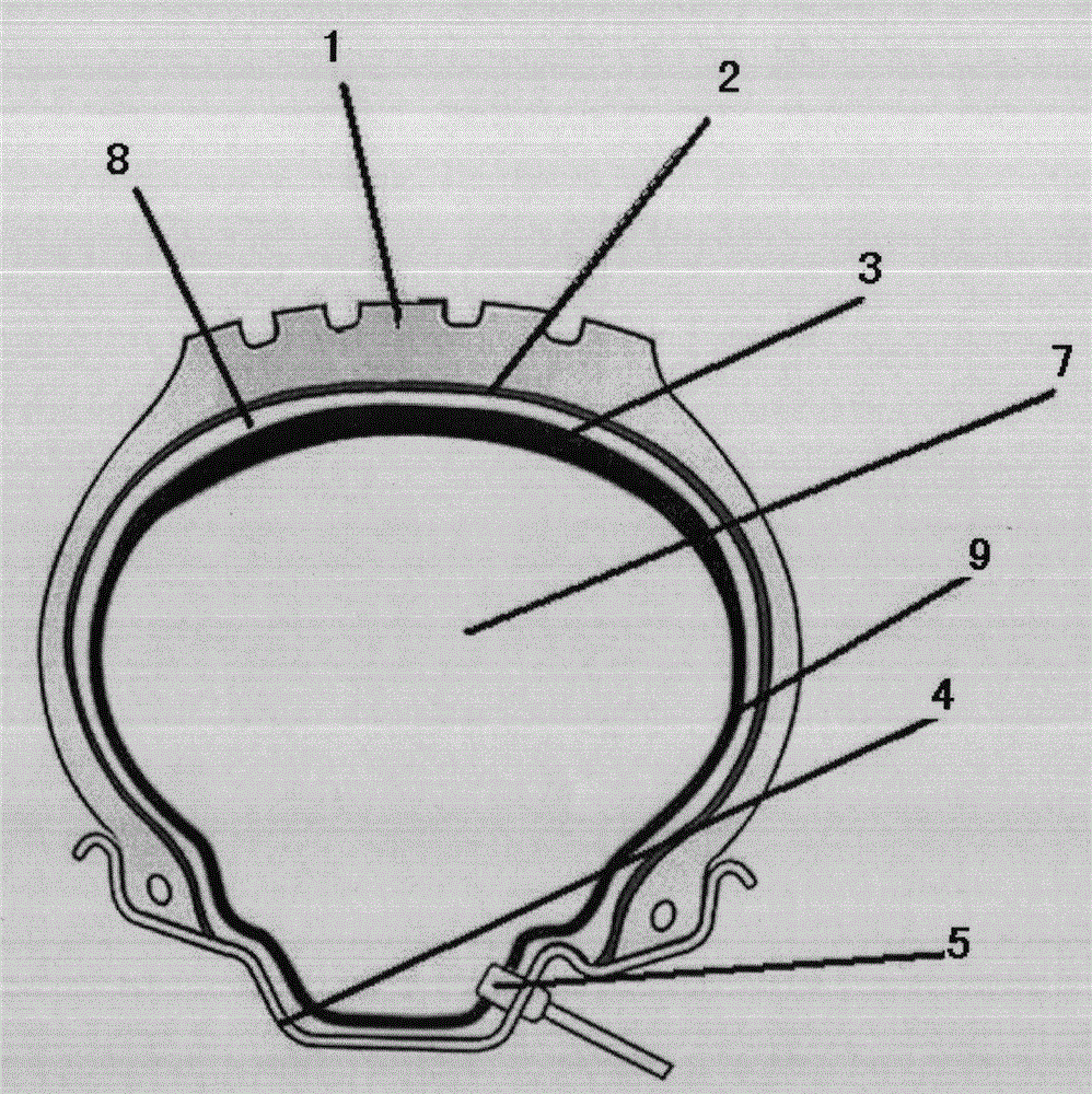 Anti-piercing and anti-gas-leakage tire