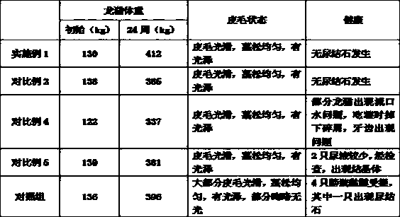 Rodent pet food for preventing urinary calculus and preparation method thereof