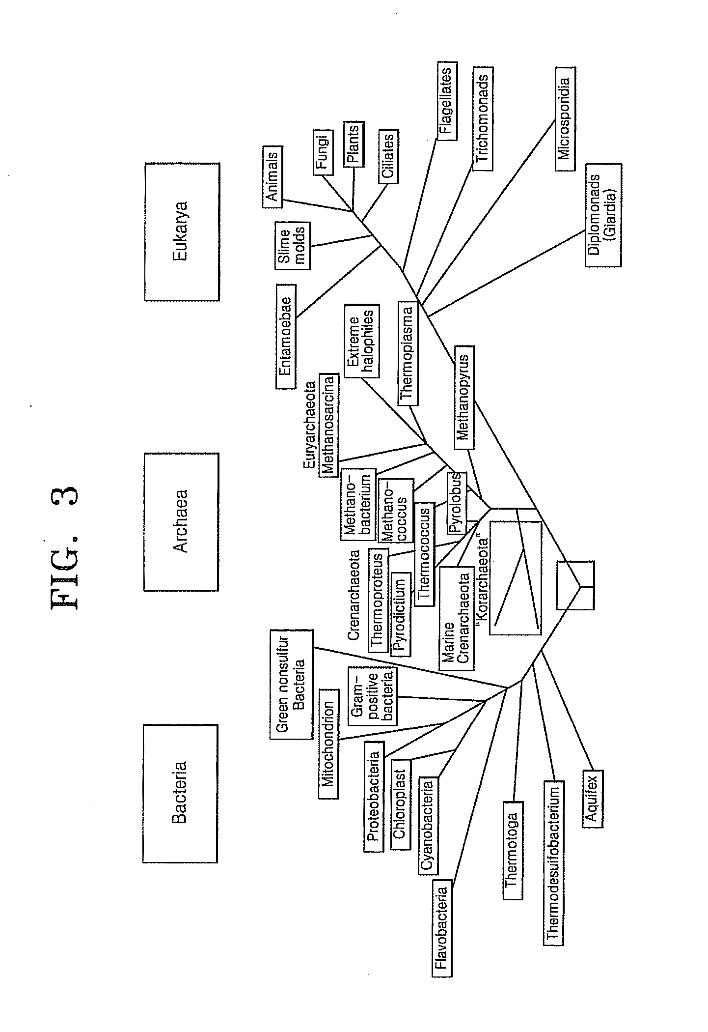 Method and apparatus for determining specificity of a candidate probe