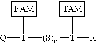 Combinatorial fluorescence energy transfer tags and uses thereof