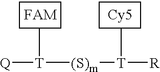 Combinatorial fluorescence energy transfer tags and uses thereof