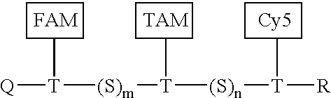 Combinatorial fluorescence energy transfer tags and uses thereof