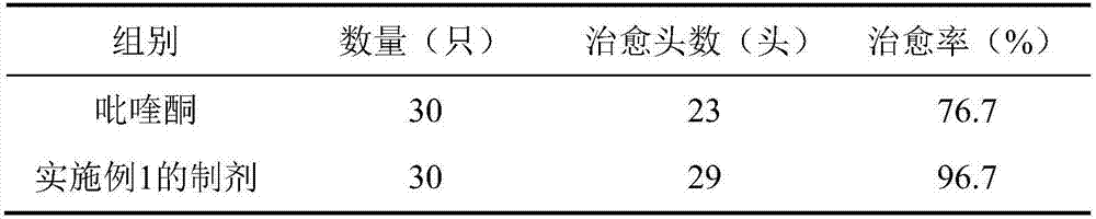 Medicinal composition for preventing and treating animal echinococcoses and application thereof