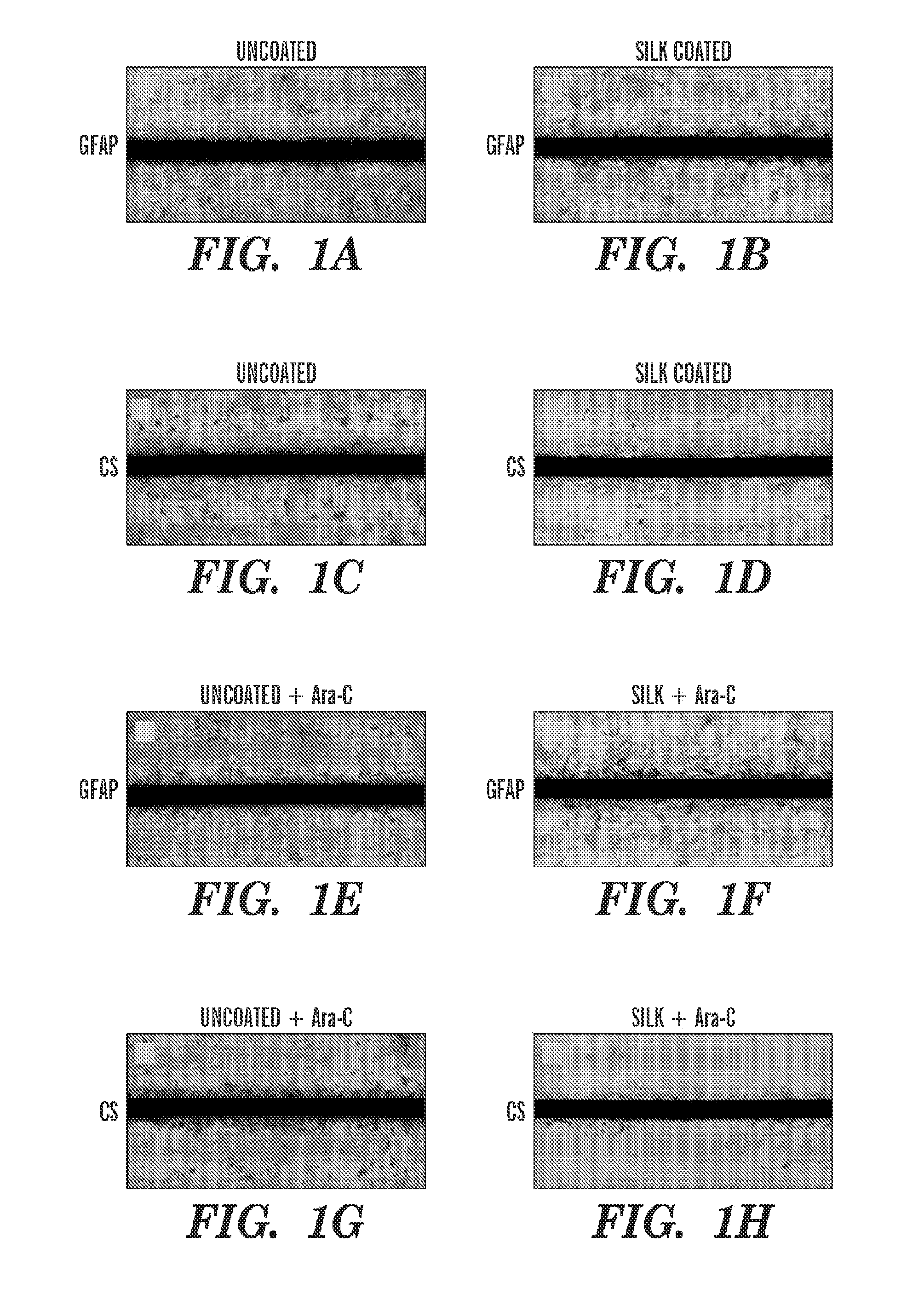 Dynamic silk coatings for implantable devices