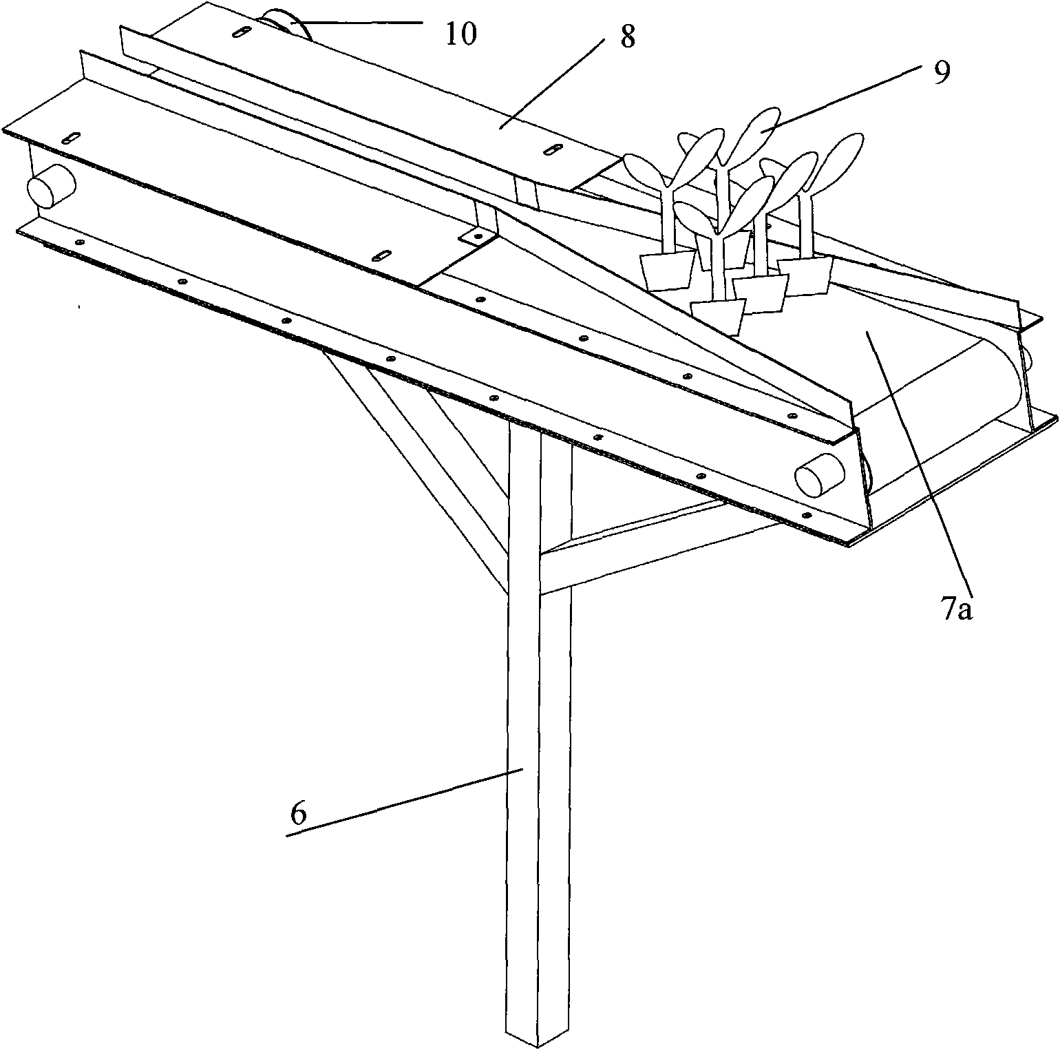 Conveying belt and rotating disc combination type seedling feeding device