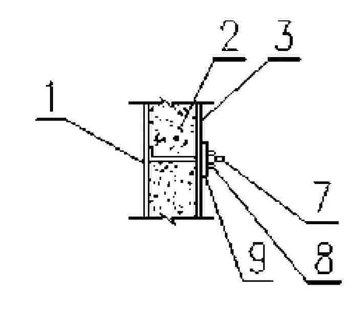 External thermal insulation structure of electrolytic cell