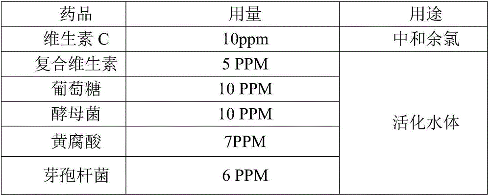 Method for ecologically culturing young penaeus vannamei