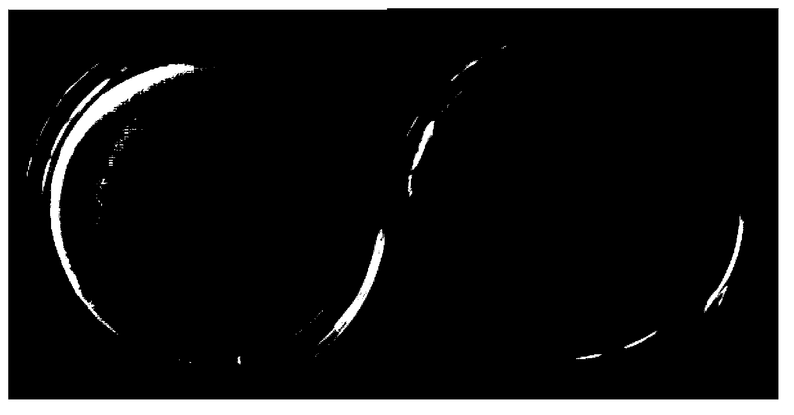 Bacillus subtilis 9A and application thereof