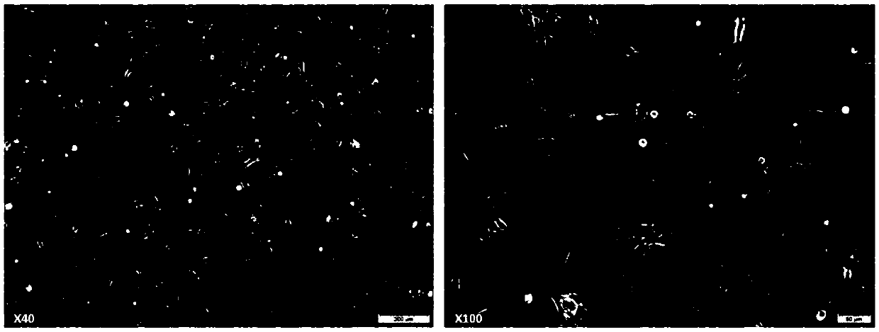 Composition containing miR-124-3P and application thereof in drug for inducing neuron formation