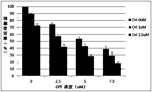 Application of oridonin combined with cryptotanshinone in the preparation of drugs for treating leukemia