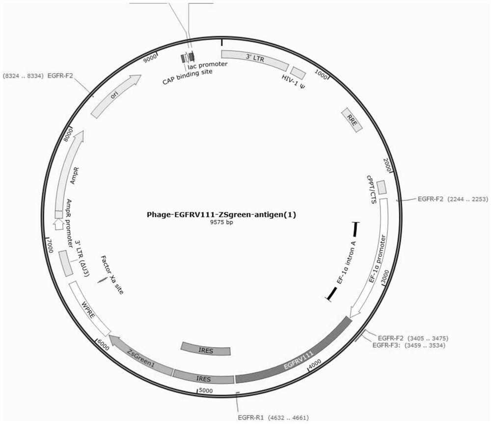 Liquid-changing culture medium and application thereof