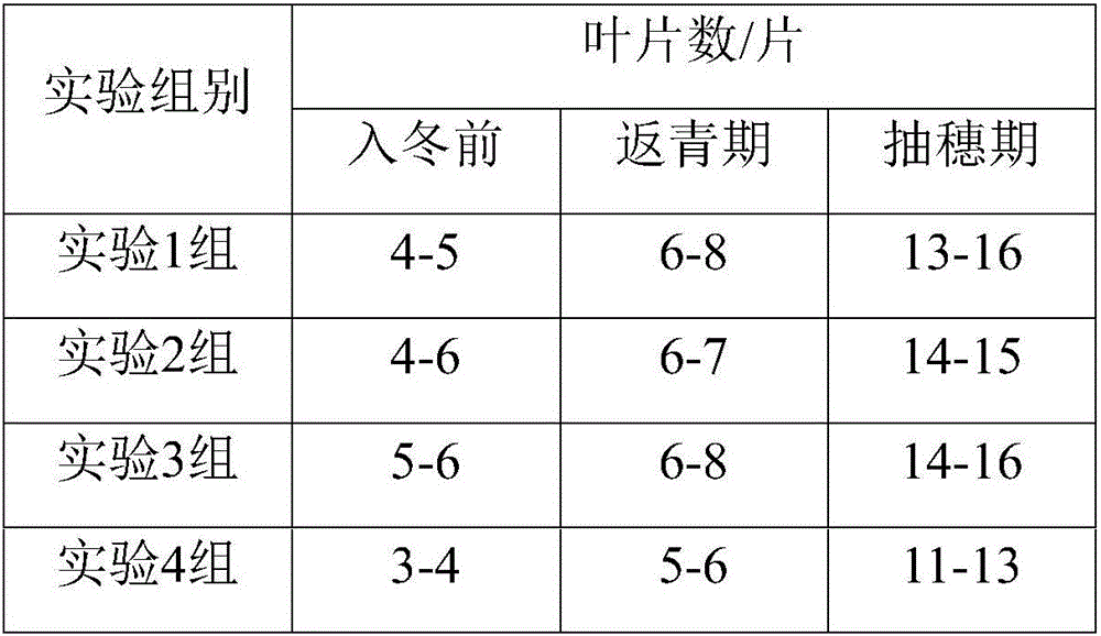 Multiple-effect ecological organic fertilizer based on marten manure and preparation method thereof