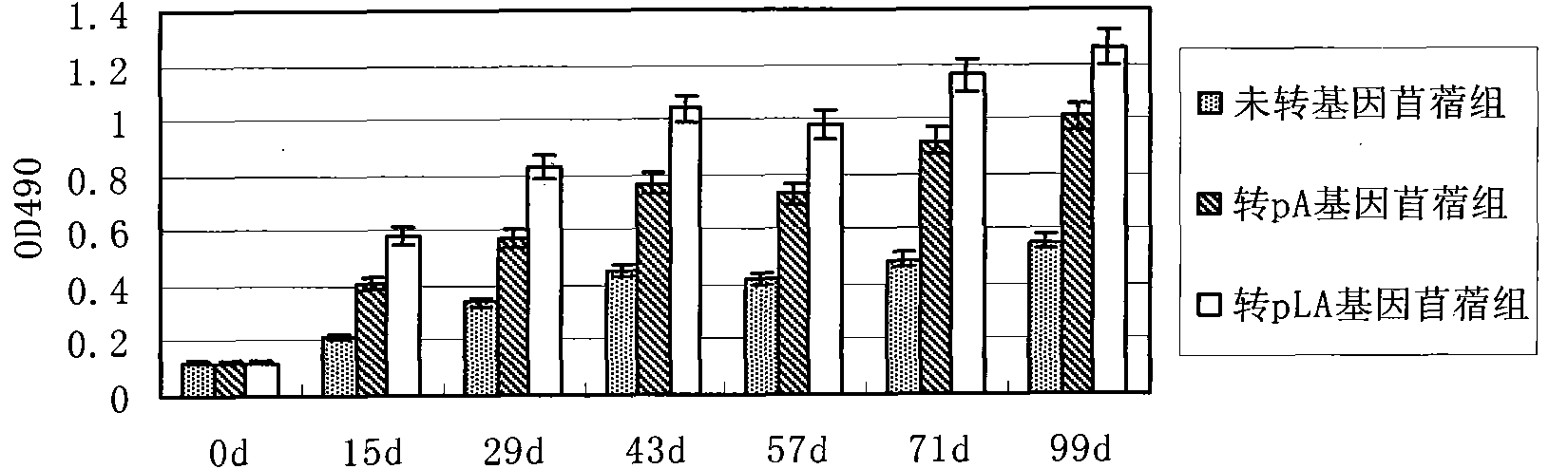 Clostridium welchii disease resistant transgenic plant vaccine and preparation method thereof