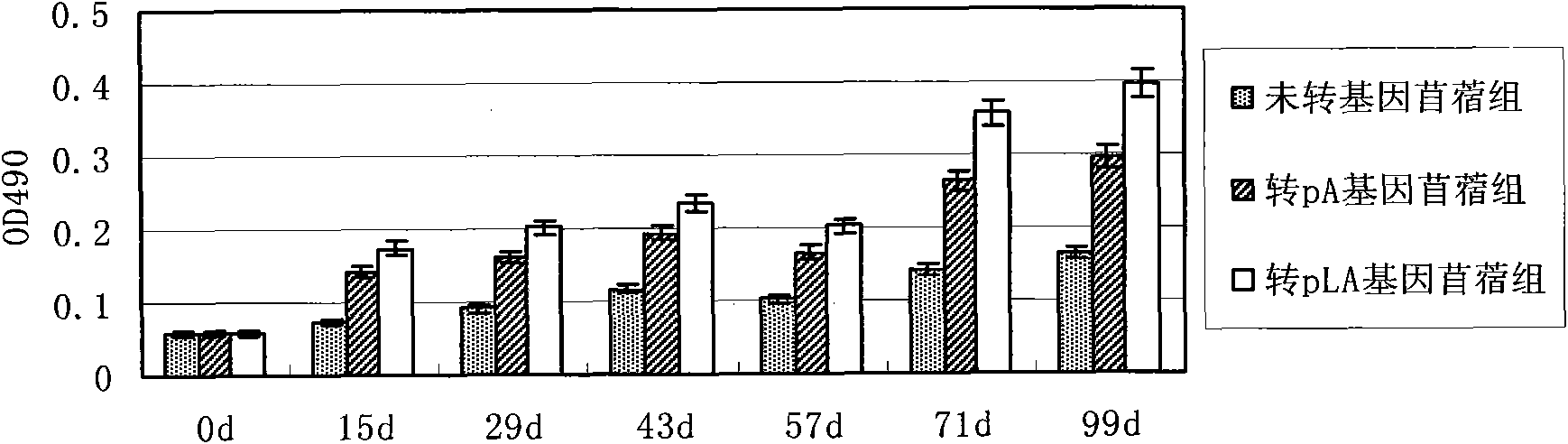 Clostridium welchii disease resistant transgenic plant vaccine and preparation method thereof