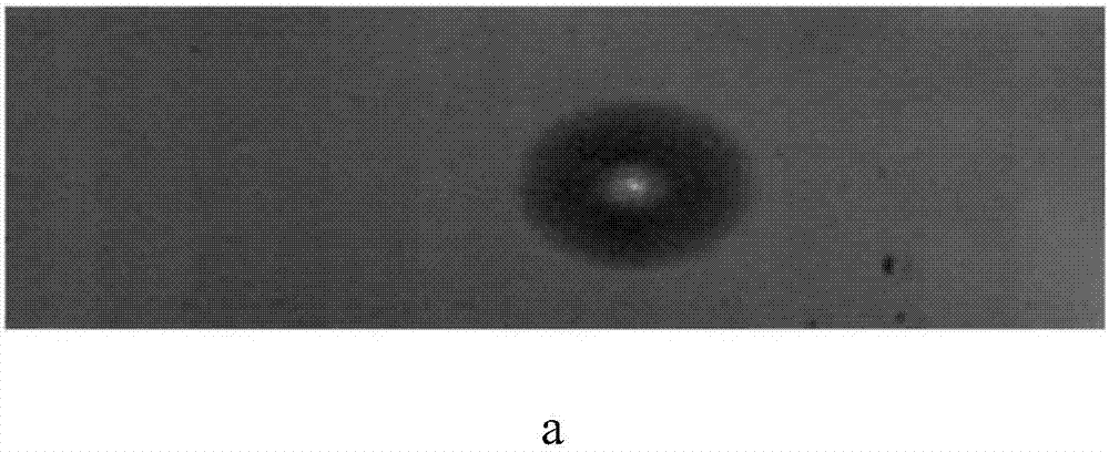 Research system for liquid light induced breakdown and cavitation effect