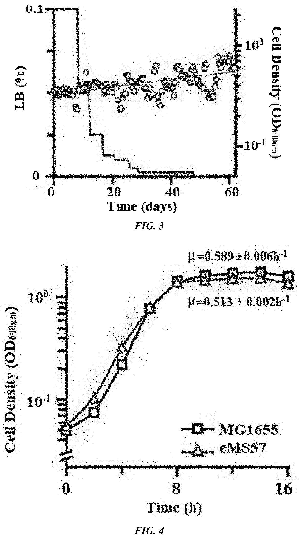 Novel microorganism having minimal genome and method of producing the same